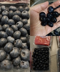 ����ȥ���������ݮ������������������