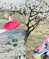 �����20000Ķ�����Ѵ�