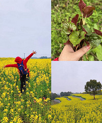 կɽƺ�ͻ���Ұ7KMС���ߣ�5��С���Ѷ��ɳ�