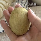 ����Ѫ�������С����