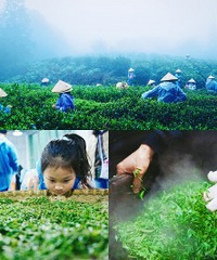 ���޲ɲ裬�Ѵ��������ؼ�