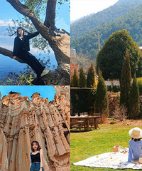 ǿ��֢��ǰһ�����г̣����������Լ���ȿ�