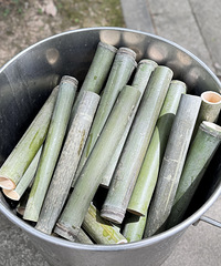 ���ա����񼾡�����Ͳ��+������һ�����񫣡