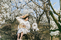 ���Ϲ��Ӻ�����һ��ȥӡ���͡�ѩ��