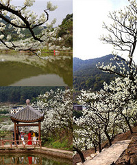 ����ڣ��ν��������������