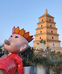 ��������������