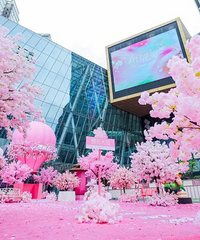 �����ǹ�ʱ���㳡����ӣ����������������Ļ