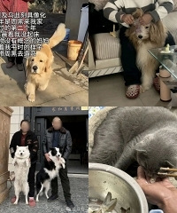 �����Գ����˫���ֳ�