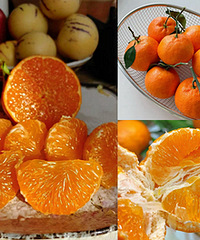 ���ֱȰҰҸ̸�ţ���ٸ̣��ҽ�����ӵ��