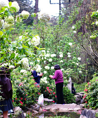 [����]��ĩ����ɽƺ���������ã�����Ȱ�㿼�������ȥ