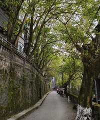 ȥ����Ѱ��ͯ�����