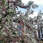 ��Ͽ�㳡����������