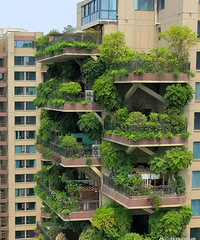 ������ĵ��Ĵ�סլڸ��δ�õ����������̽��