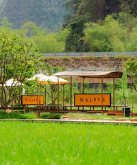 ����ȥ����Ѱ��ΣҶ�׷���࣬̽������