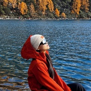 91��������������