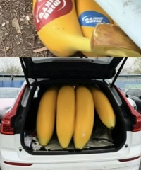 �����������ôɶ����