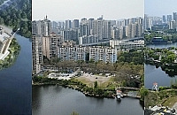 ʱ��20���꣬Ƚ�Ұ����������ٺ���ƽ����Ŀ