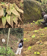 ��������ʩ�ʴ���������޽��ֲ���ֶ�