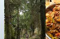 ��ץ��ʱ������һ������-���Ź�-�����ͽ������