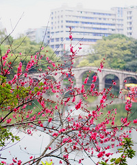 ����ı̽�԰