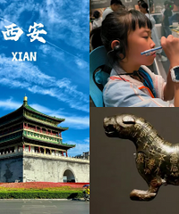 ���ٵ�����ˣ�²�����ʼ����