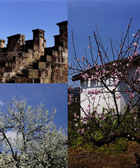 ����ֱ��ŷ�ɽ��ͽ��������԰