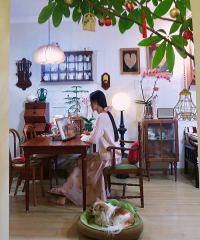 ������İ������úܺ�