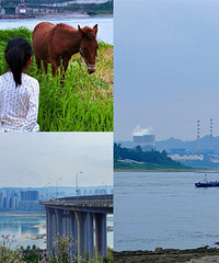 ���������Լ��������ƾ�������ץ�зιţ��