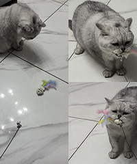 Ŷ��������Ķ�è������10���Ӿͻ���