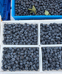 ��������ݮ�����ִ������ִ࣬���˾��ñ����ϵĺó�