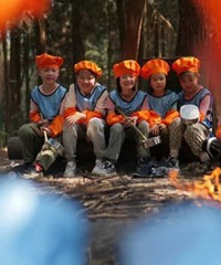 ����ȥ�����̿������ʳ