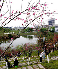 �������վ�ԱߵĹ�԰����Ȼ�һ���ʢ����