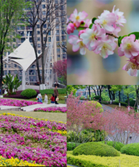 5����ֱ����������԰�������Ŀ�������