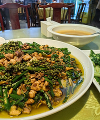 ���˴�˵�������ڵĽ����ȷ滨���������о�һ��