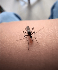 ��ǰ�����Ծ�ڣ���������˯���š������ؽ������ѣ�