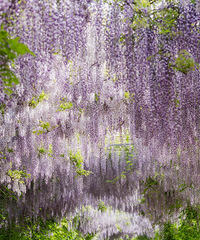 ���������ķ�Ѵ���������ٻ���