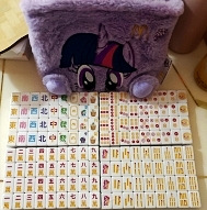 ���������齫̫����