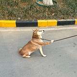 ȥ���乷������������