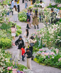 ��������ֿ����ջ���