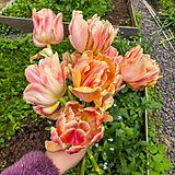 ��԰�վ�����ô�̼�