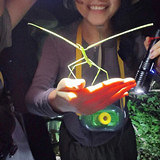 51�����ɡ�ҹ̽Ѱ����