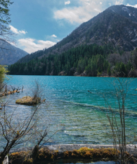 ��կ������������