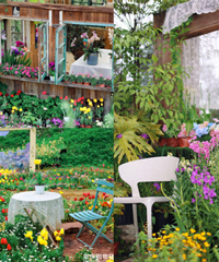 ����1.5Сʱ����Ʊ30�������԰����ֵ��ֵ