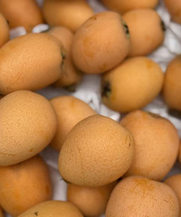 ���������Ѿ����ˣ���ժ����������ζ�����ʱ��