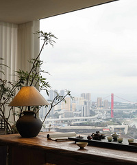 [װ��]270�� ������ƽ��ײ�ρ��Ŷ�����ѧ���ҵ��ɳڸ�����