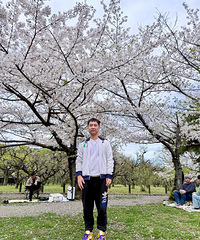 ��������ȥ���ձ�������ӣ�ĵط�