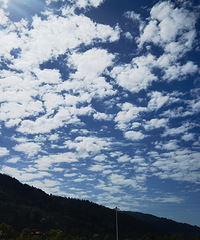 ����̤�࣬��������ɽ��·��ȷʵ��