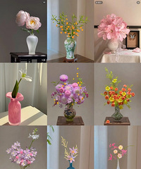 ����һЩ�����Ҹ��еļҾӻ�ƿ����ĺ�������