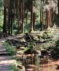 [����]�������ǳ��������������������Ƽ���ͽ��·������һ����