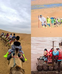 ��������ת������ɳĮͽ��¶Ӫ